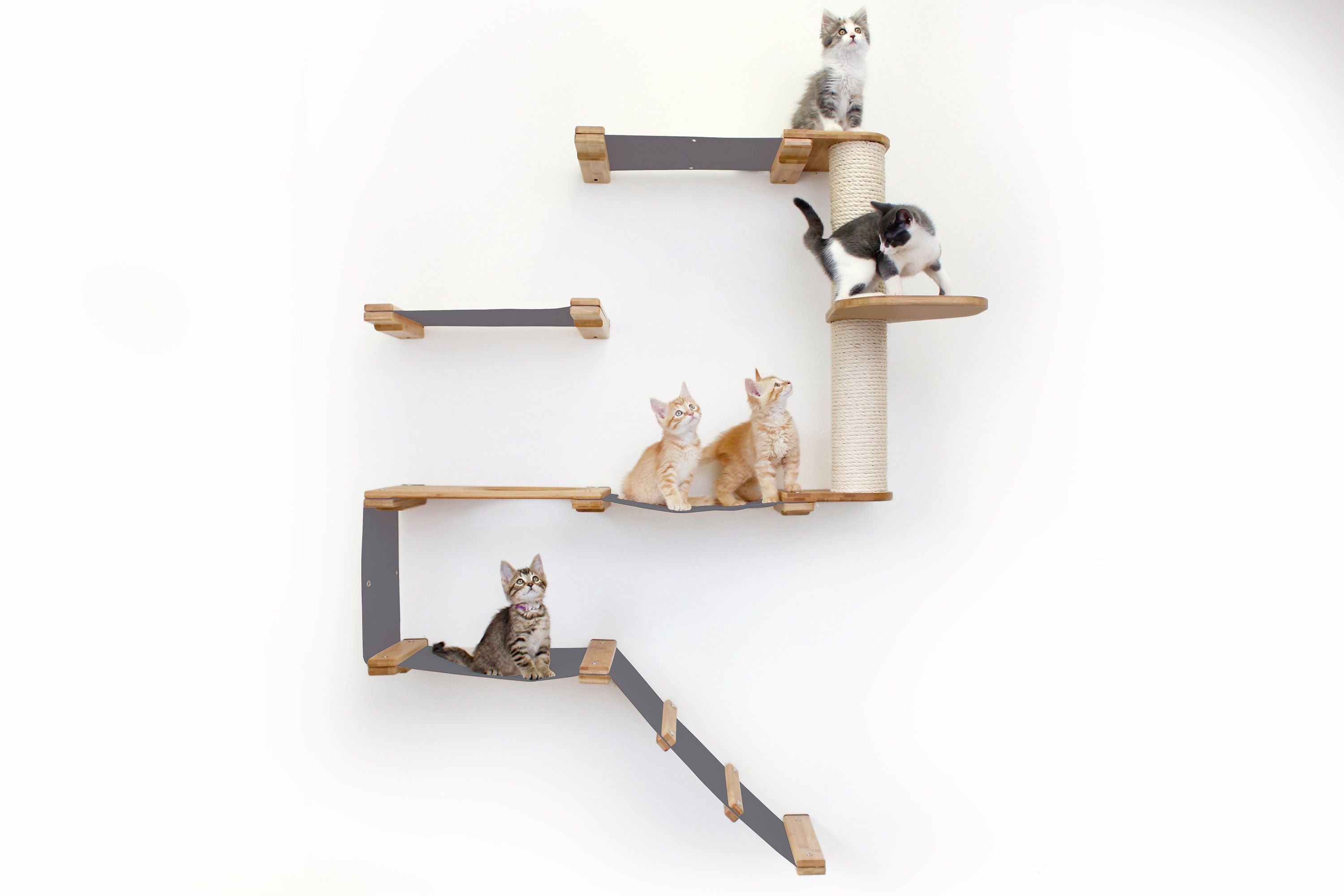 The Deluxe Fort - Modern Cat Condo (Wall Hanging Cat Tree) - by Catastrophic Creations