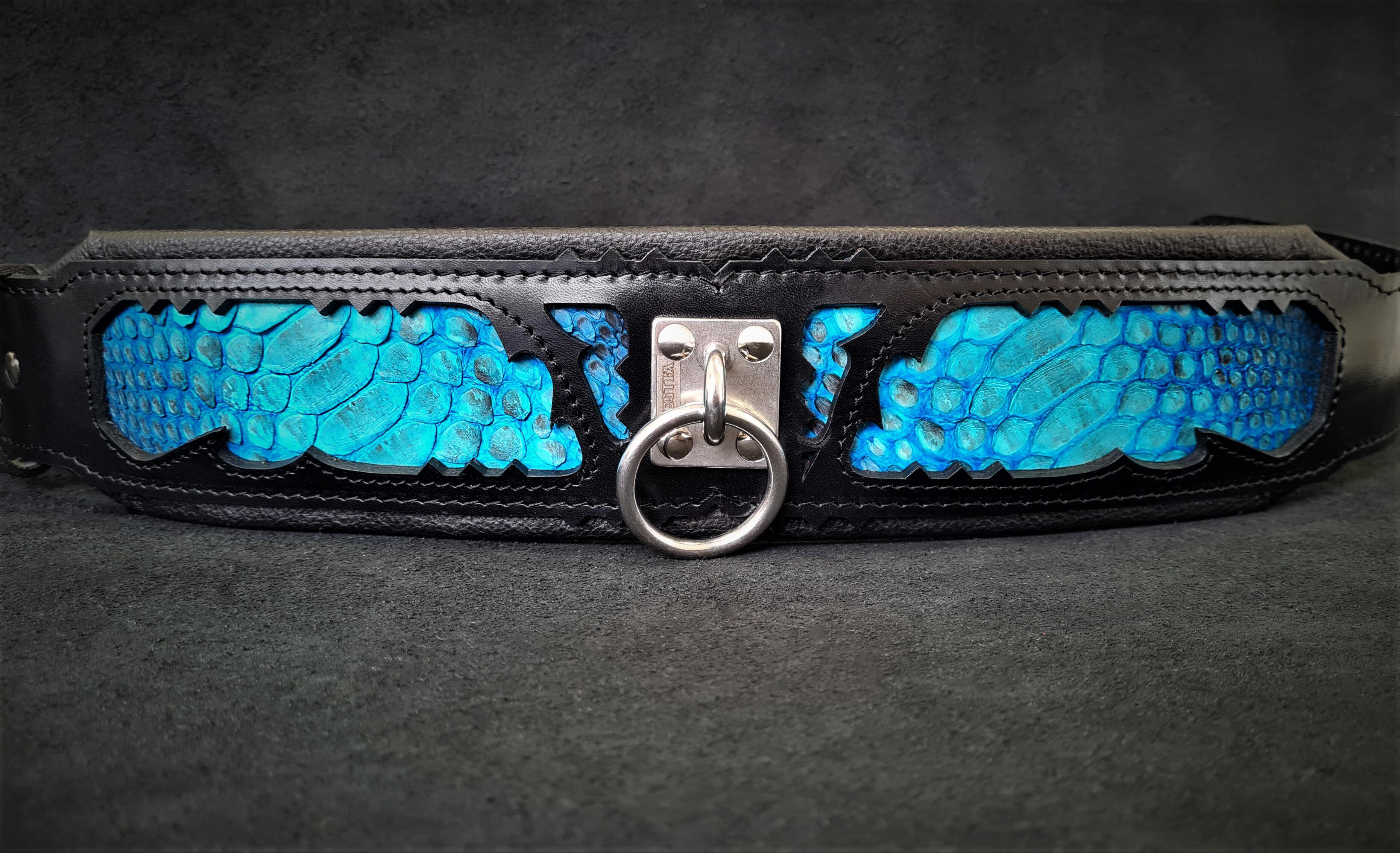 The ''Morelia Python'' collar