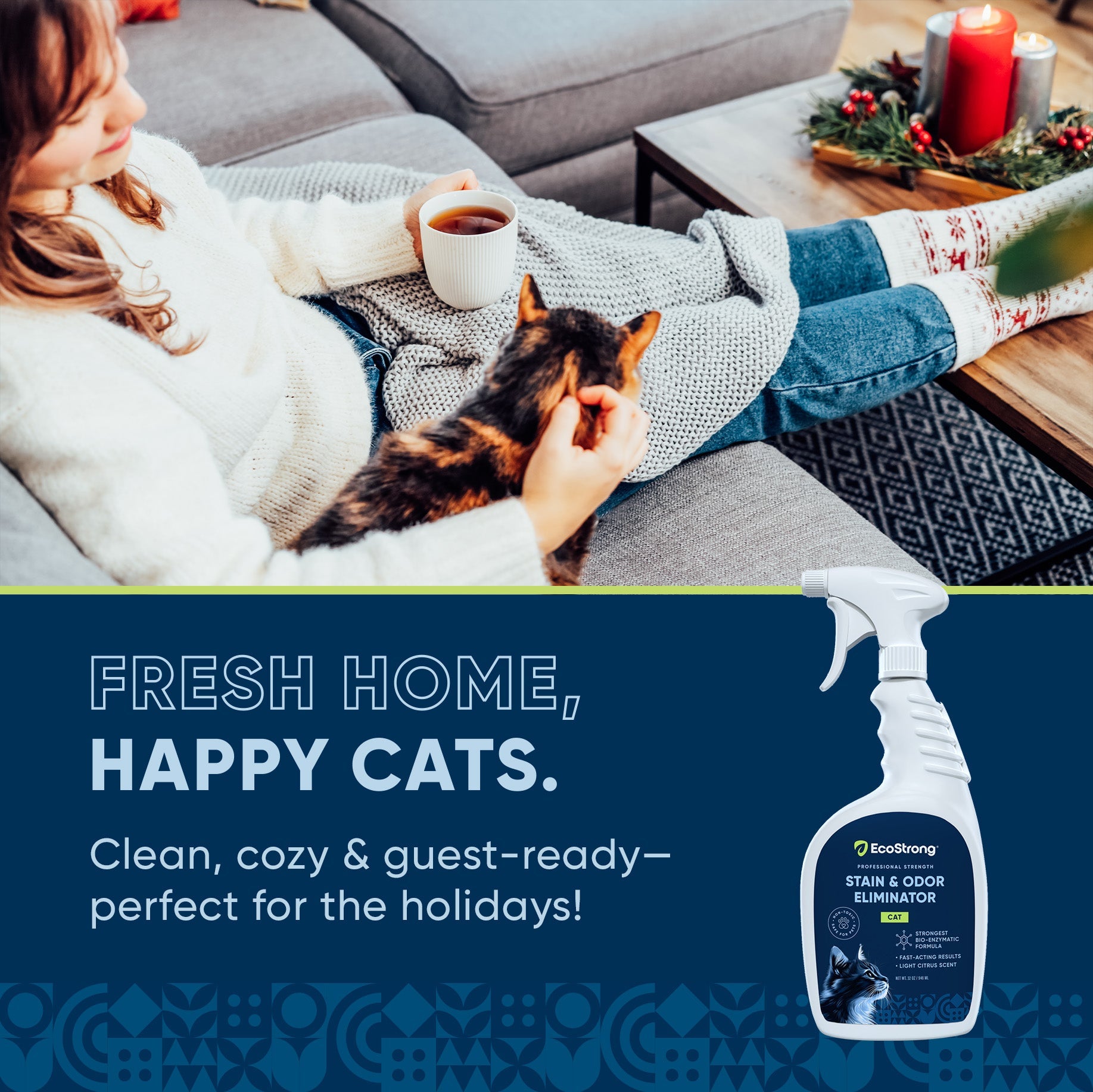 Cat Stain and Odor Eliminator