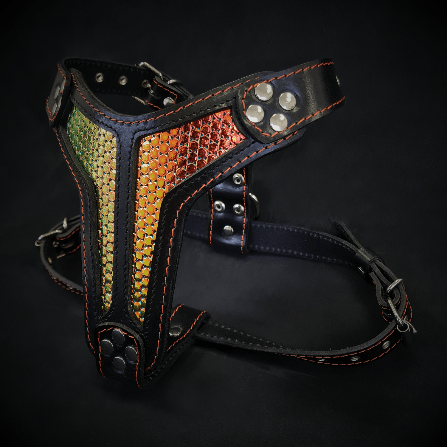 ''D`Albertis'' harness Medium Size