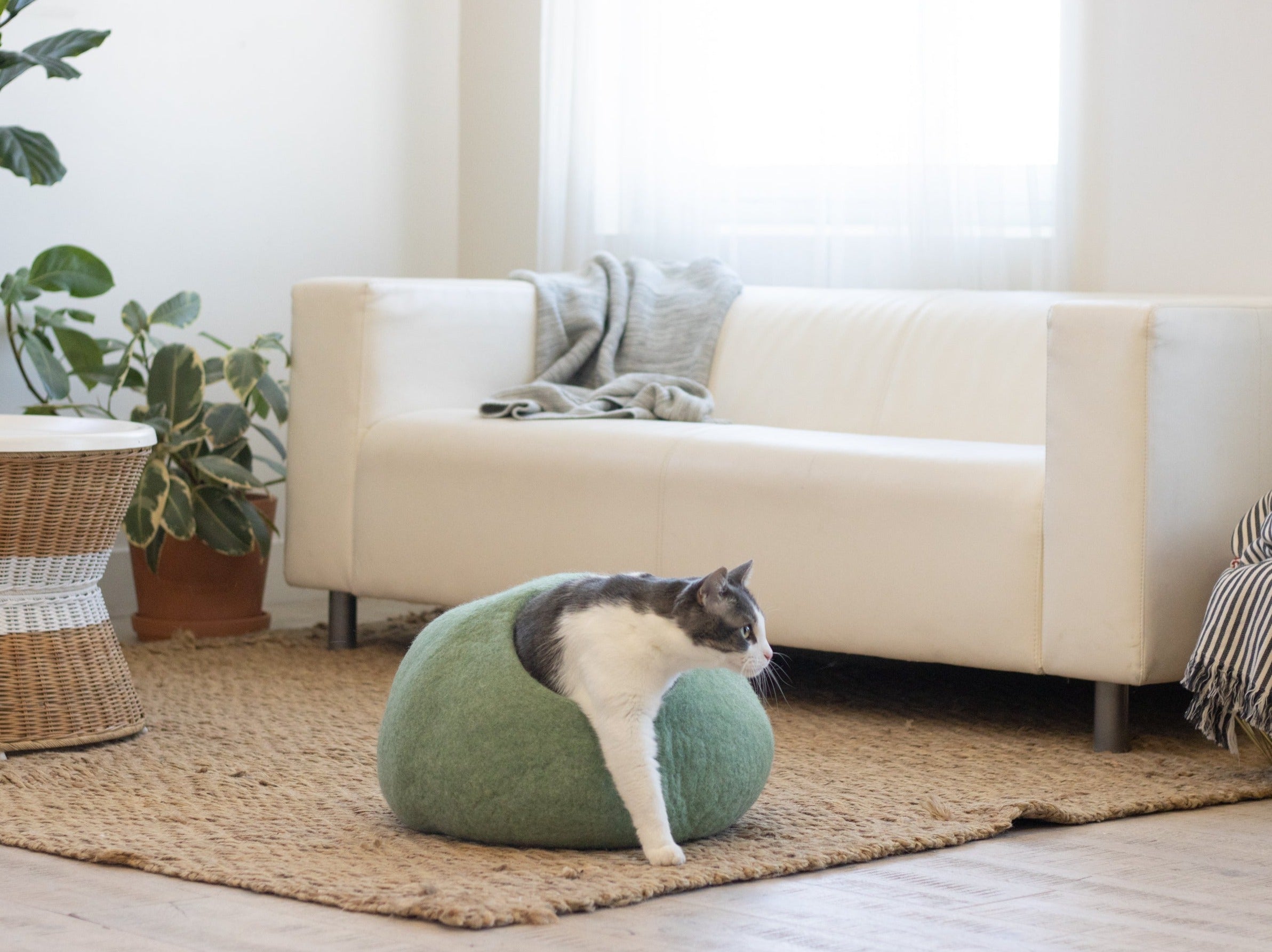 Eucalyptus Green | Round Style Cave