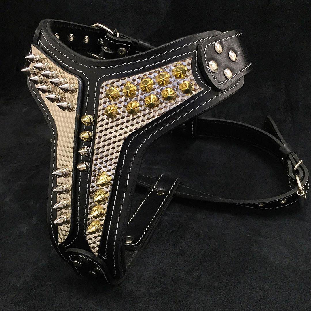 The ''Platinum'' harness