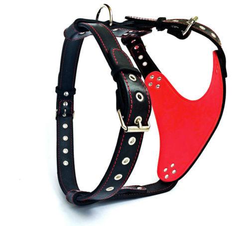 The "Steel" harness