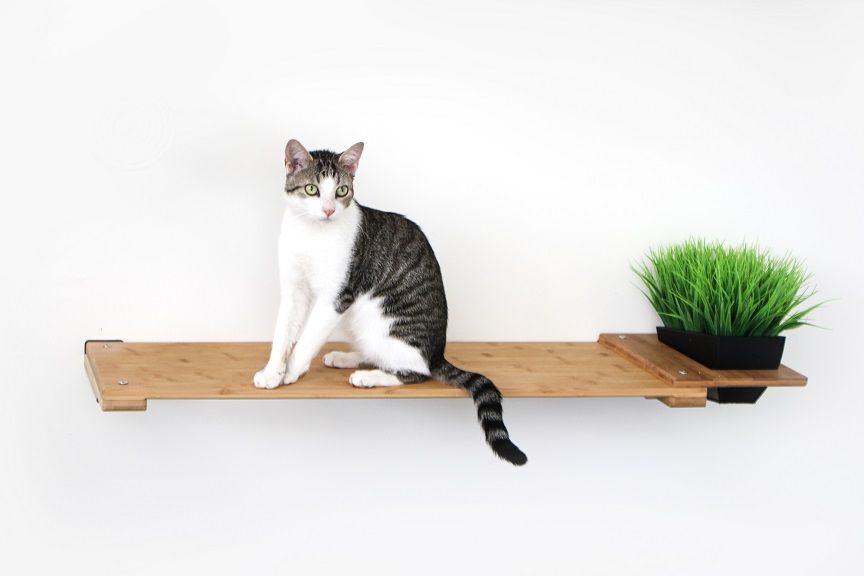 Planter Cat Shelf - for Cat Safe Plants - by Catastrophic Creations