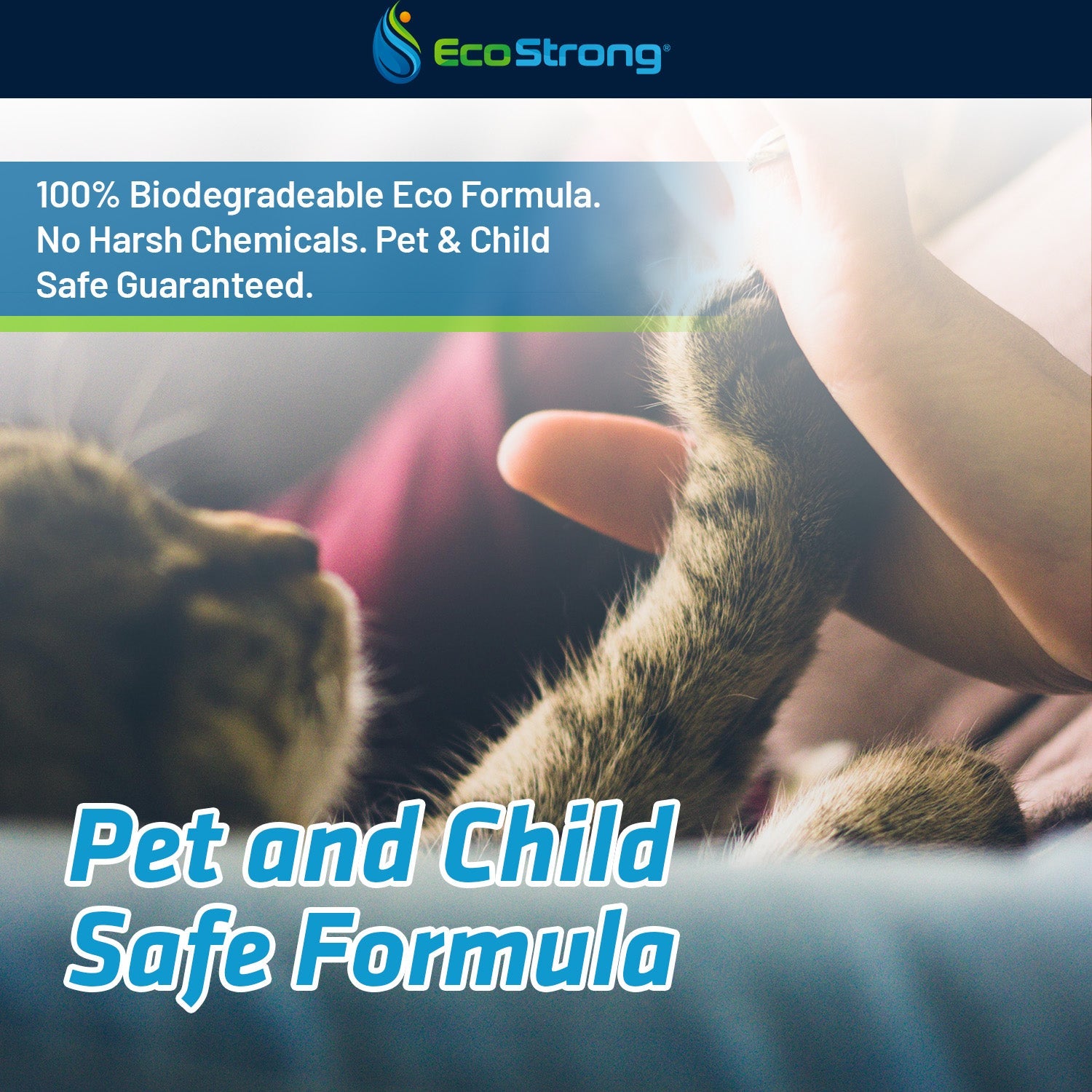 Pet Stain and Odor Eliminator