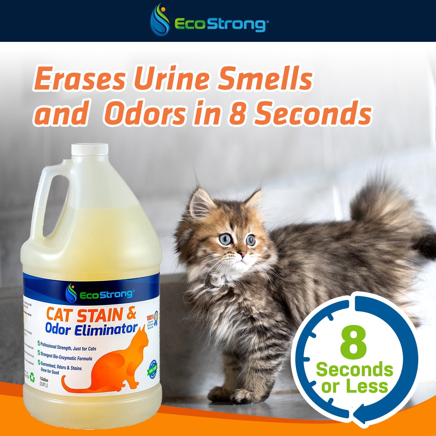 Cat Stain and Odor Eliminator