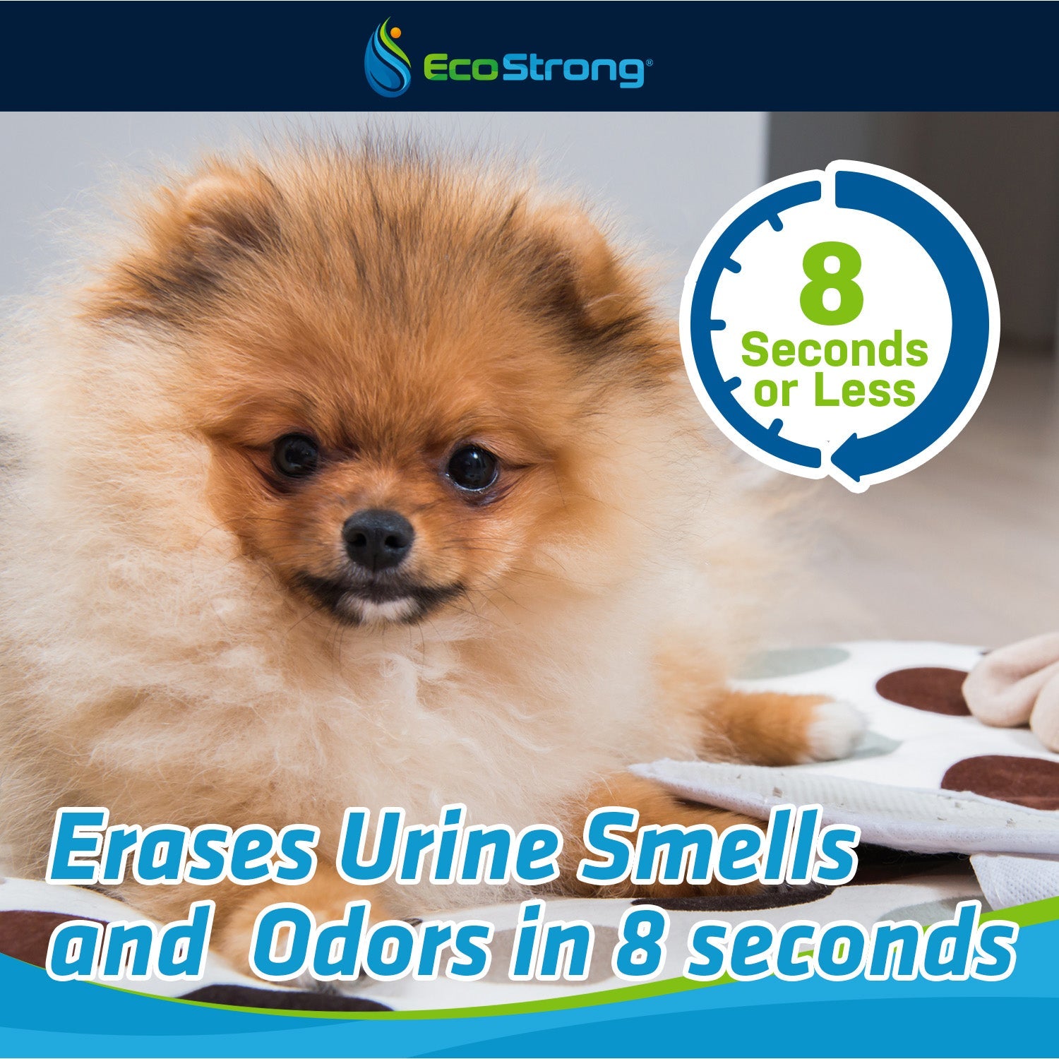 Dog Stain and Odor Eliminator