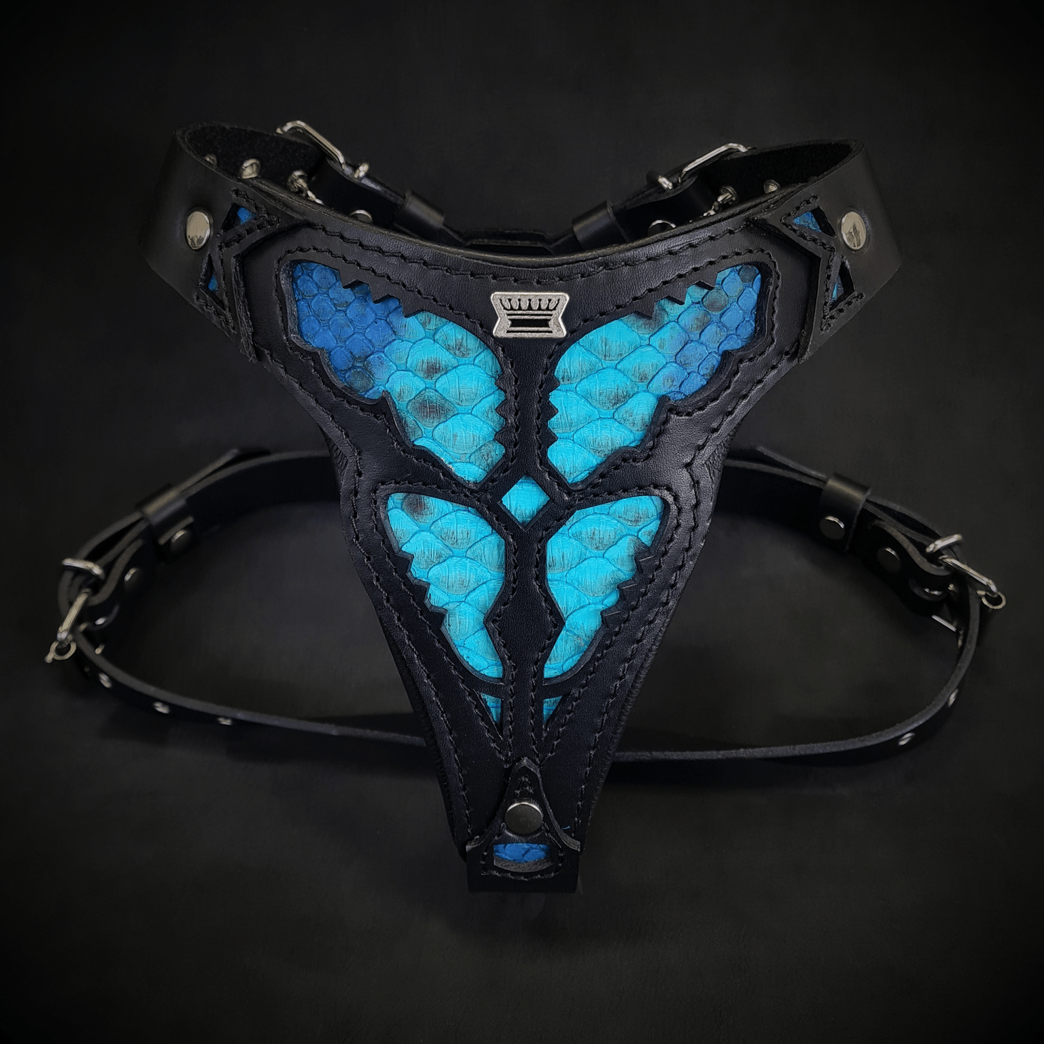 ''Morelia Python'' harness Medium Size