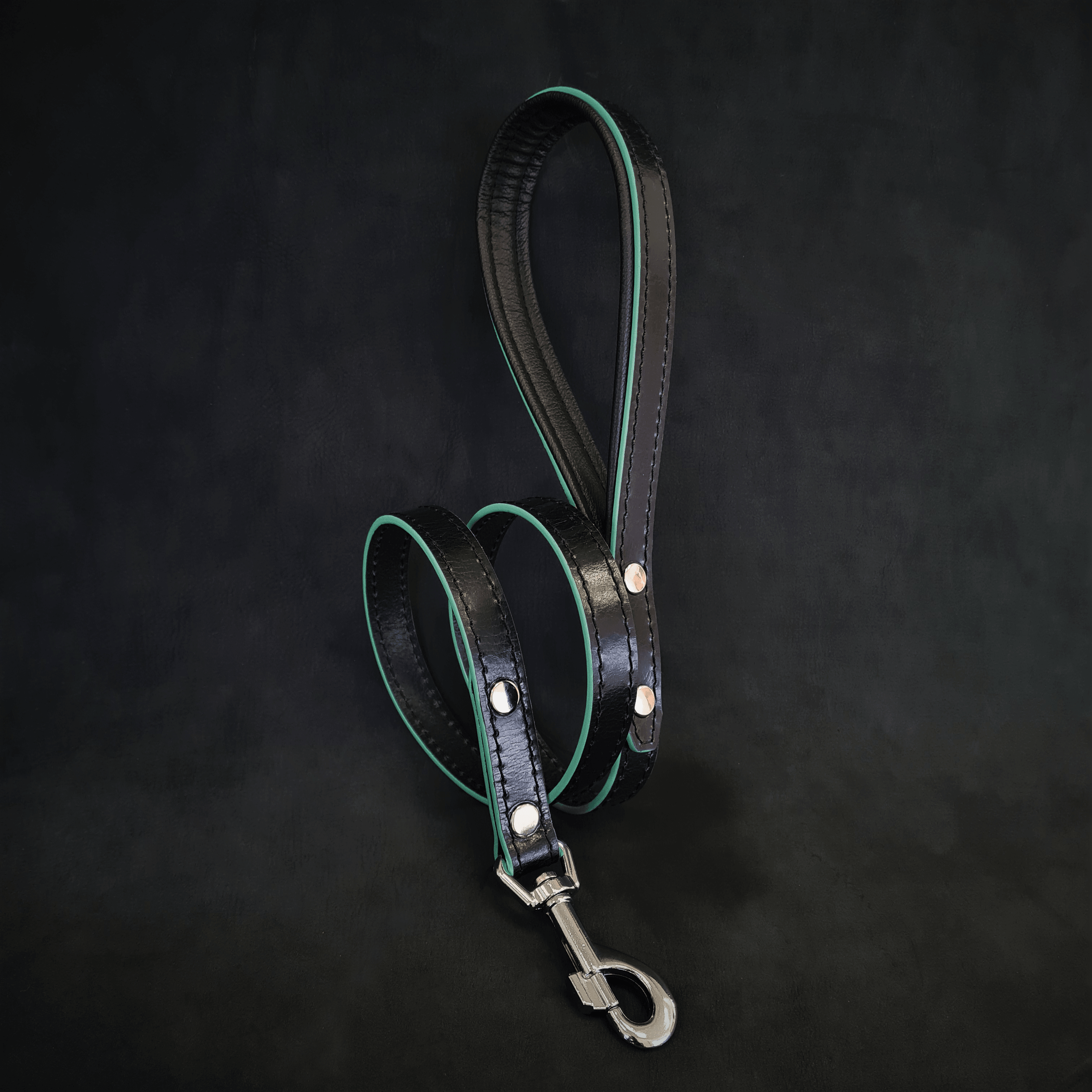 ''Ariel'' leash