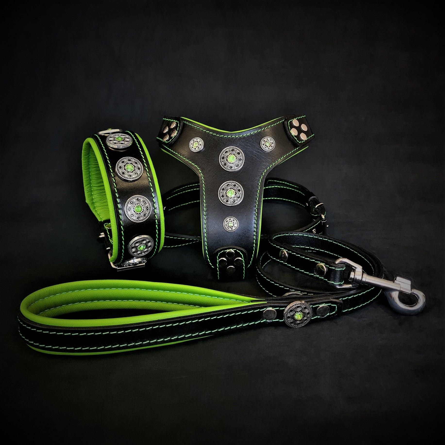 The ''Bijou'' SET -  Collar, Harness, Leash. Green