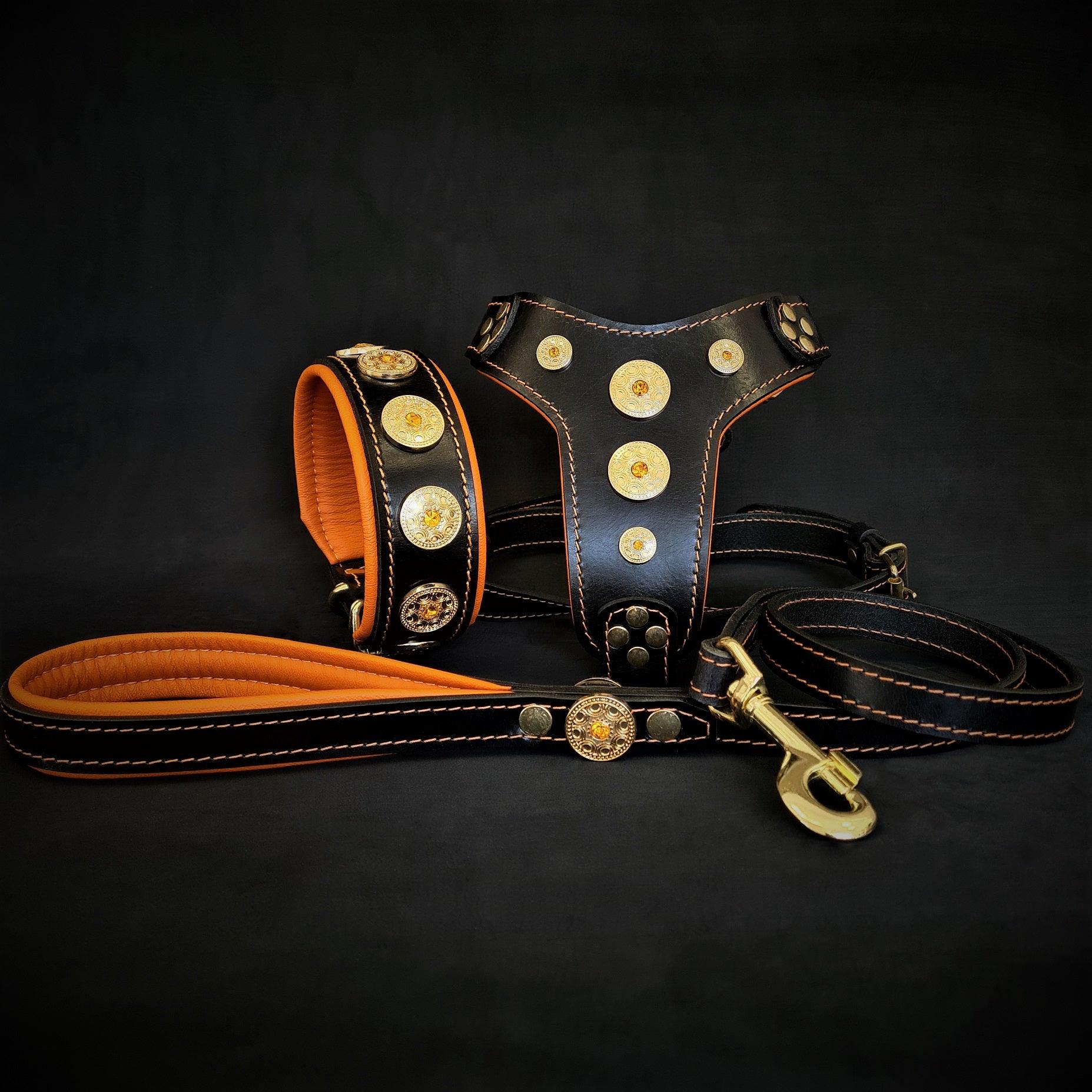 The ''Bijou'' SET -  Collar, Harness, Leash. Orange