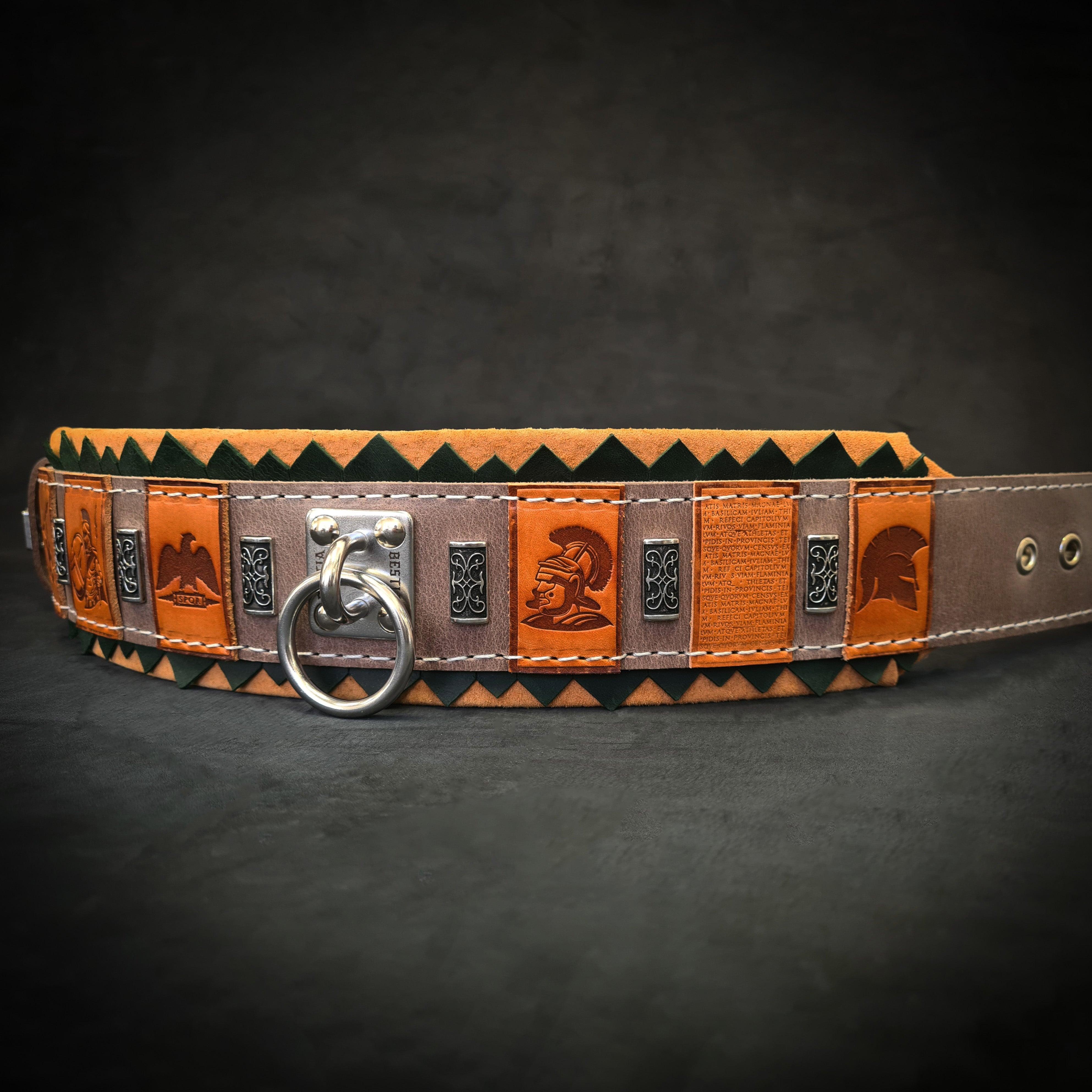 The ''SPQR'' Dog Collar