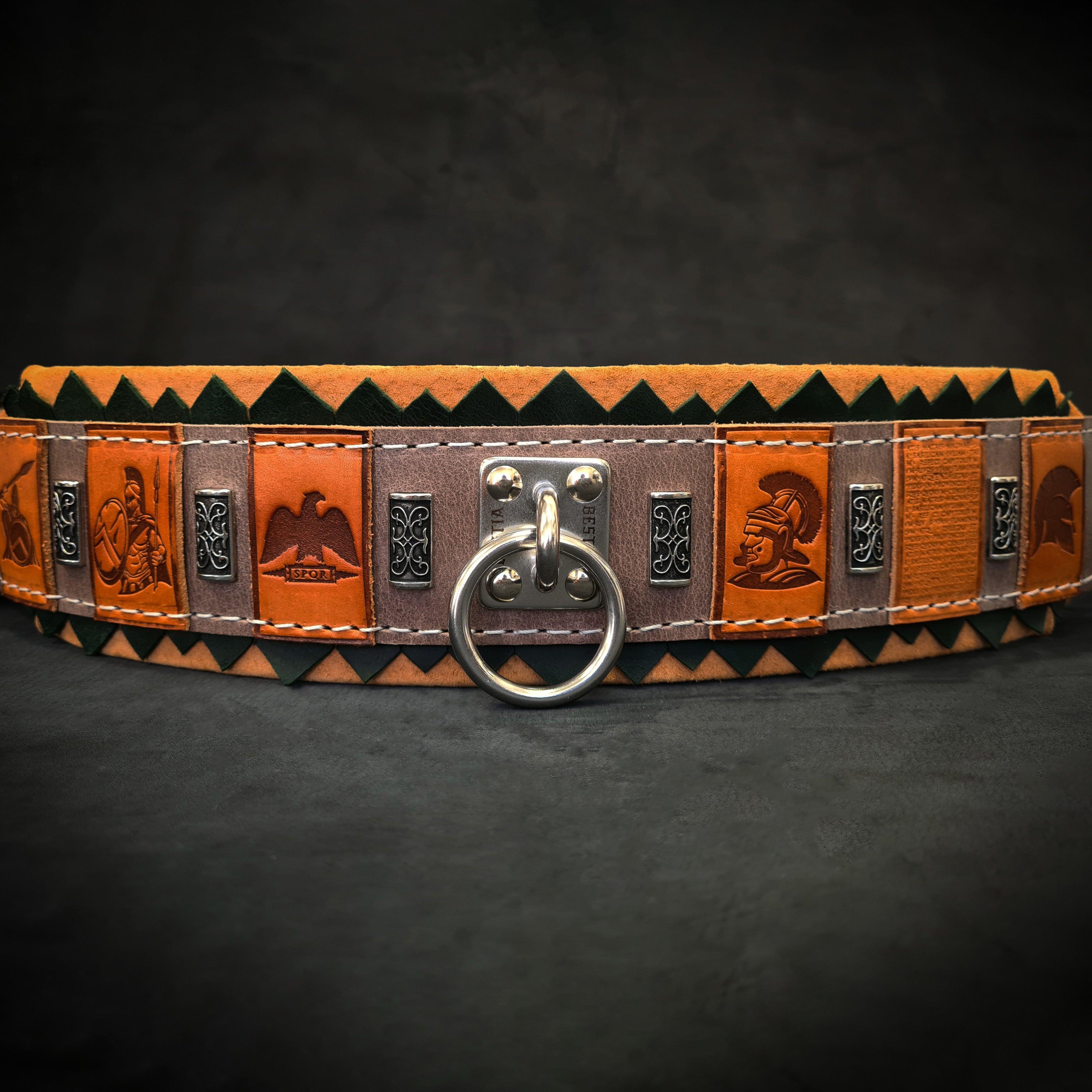 The ''SPQR'' Dog Collar