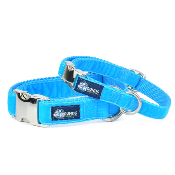 Turquoise Velvet Essential Martingale Dog Collar