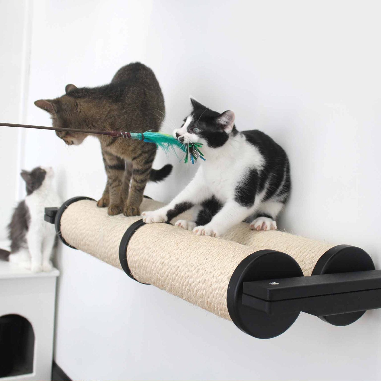 Horizontal Scratching Post (Cat Wall Scratcher) - by Catastrophic Creations