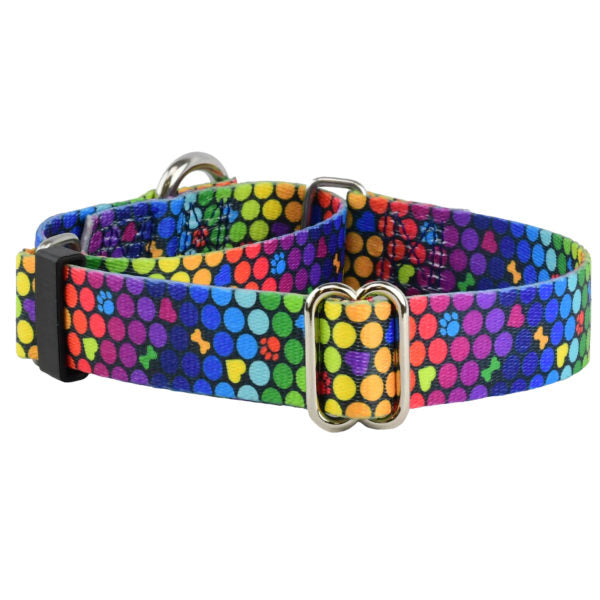 ROY G BIV Martingale Dog Collar – EarthStyle