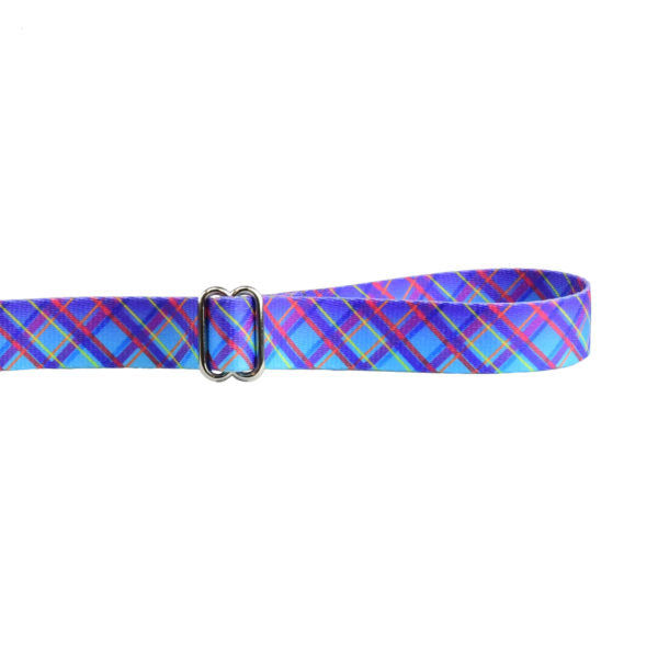 Twilight Glow Blue Plaid Dog Leash – EarthStyle