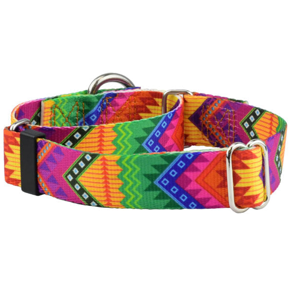 BFF (Best Friends Forever) Martingale Dog Collar – EarthStyle