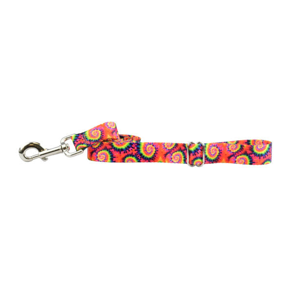 Classic Tie-Dye Dog Leash – EarthStyle