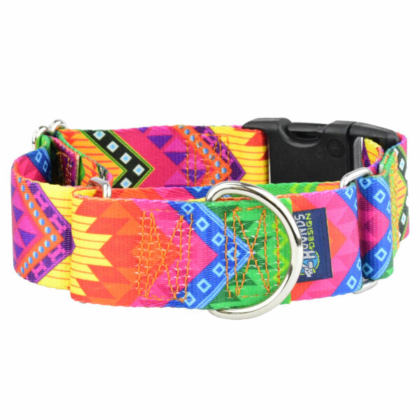 BFF (Best Friends Forever) Buckle Martingale Dog Collar – EarthStyle