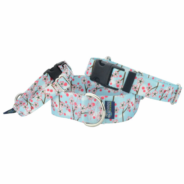 Cherry Blossoms Buckle Martingale Dog Collar – EarthStyle