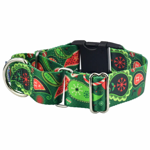 Holiday Paisley Buckle Martingale Dog Collar – EarthStyle