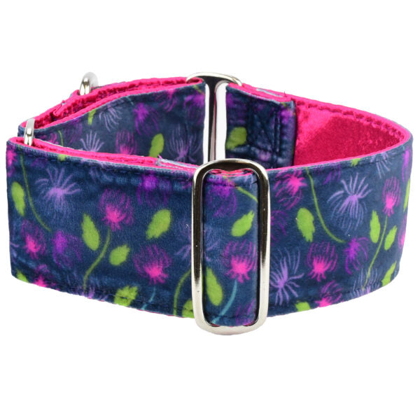 Midnight Dahlia Elite Velvet Buckle Martingale Dog Collar