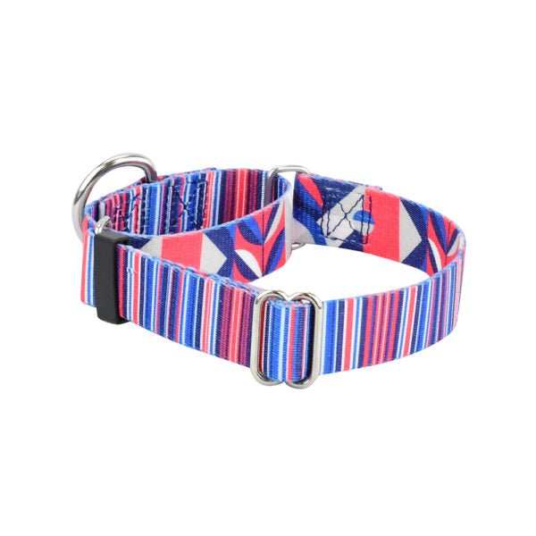 Rocky Martingale Dog Collar – EarthStyle