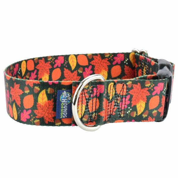 Falling Leaves Dog Collar – EarthStyle