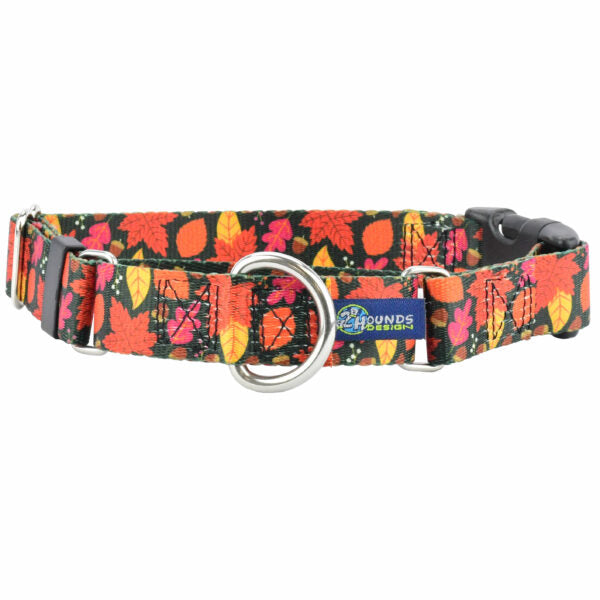 Falling Leaves Buckle Martingale Dog Collar – EarthStyle