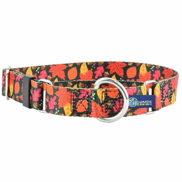 Falling Leaves Martingale Dog Collar – EarthStyle