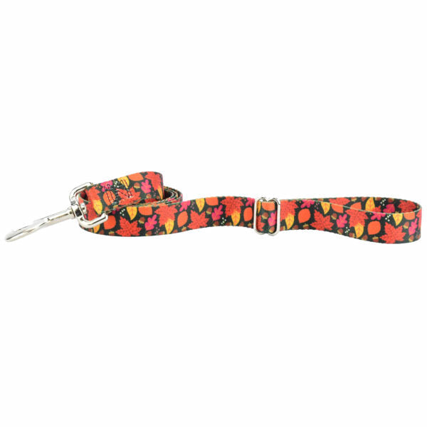 Falling Leaves Dog Leash – EarthStyle