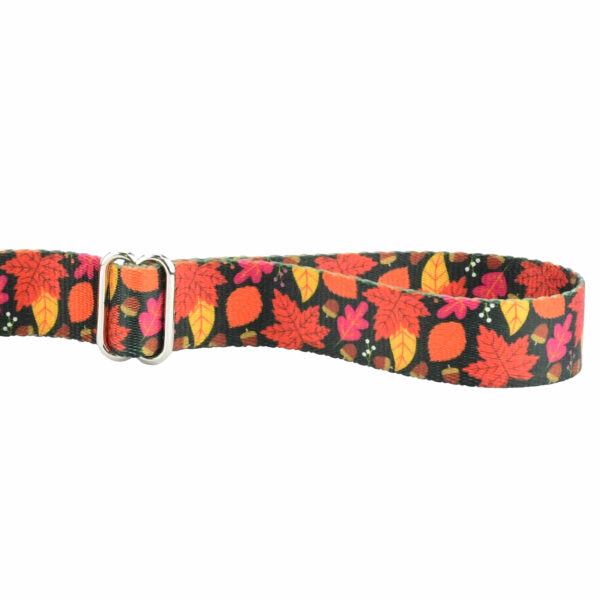 Falling Leaves Dog Leash – EarthStyle