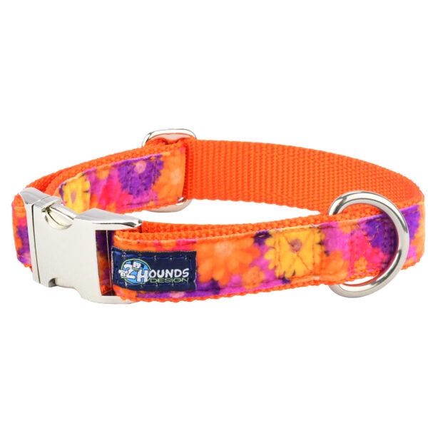 Gerbera Daisy Velvet Essential Buckle Martingale Dog Collar (1″ Only)