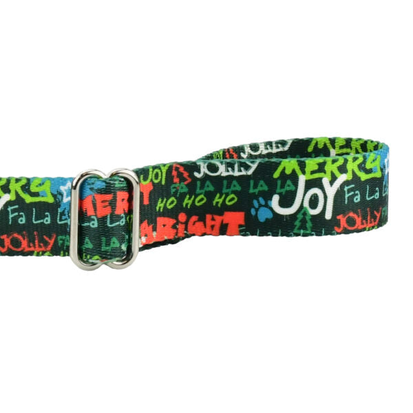 Holiday Graffiti Dog Leash – EarthStyle