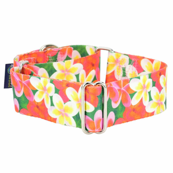 Aloha Martingale Dog Collar – EarthStyle