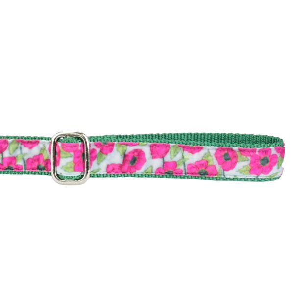 Bold Poppies Velvet Dog Leash