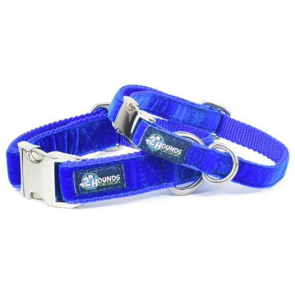 Royal Blue Velvet Essential Buckle Martingale Dog Collar