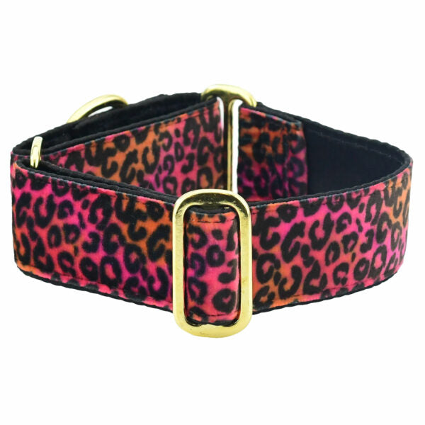 Wild Kitty Elite Velvet Martingale Dog Collar