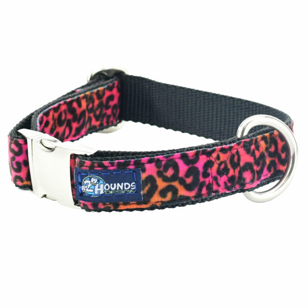 Wild Kitty Velvet Essential Dog Collar