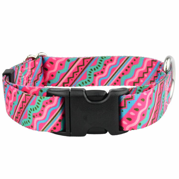 1980’s Dog Collar – EarthStyle