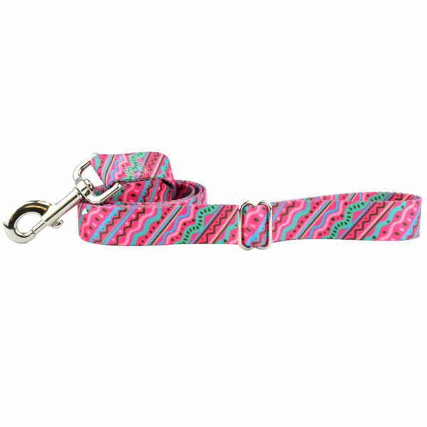 1980s Dog Leash – EarthStyle