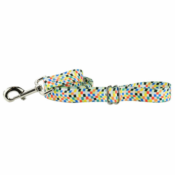 Indy Flag Dog Leash – EarthStyle