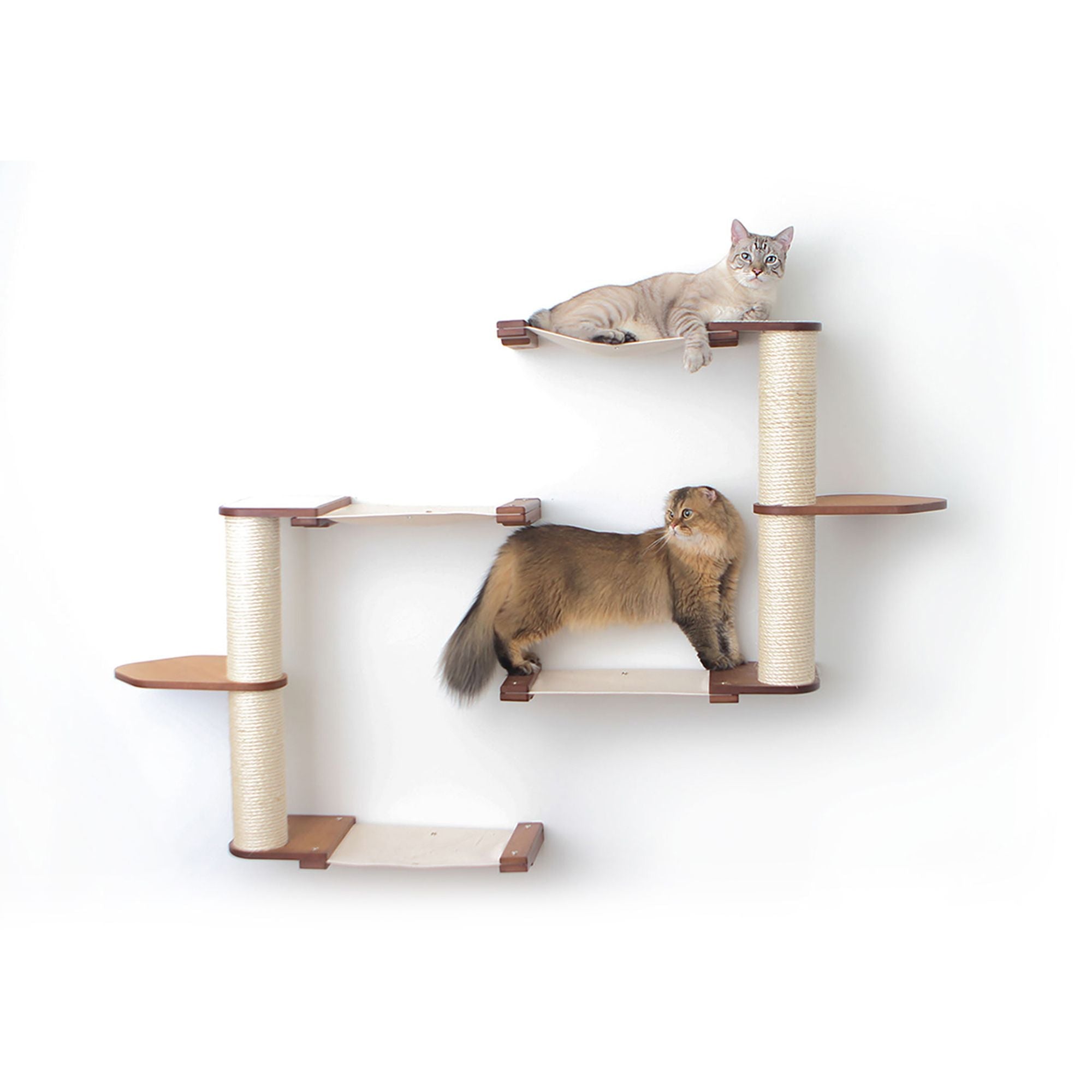 The Catacombs Cat Condo: Cat Scratcher Lounge - by Catastrophic Creations