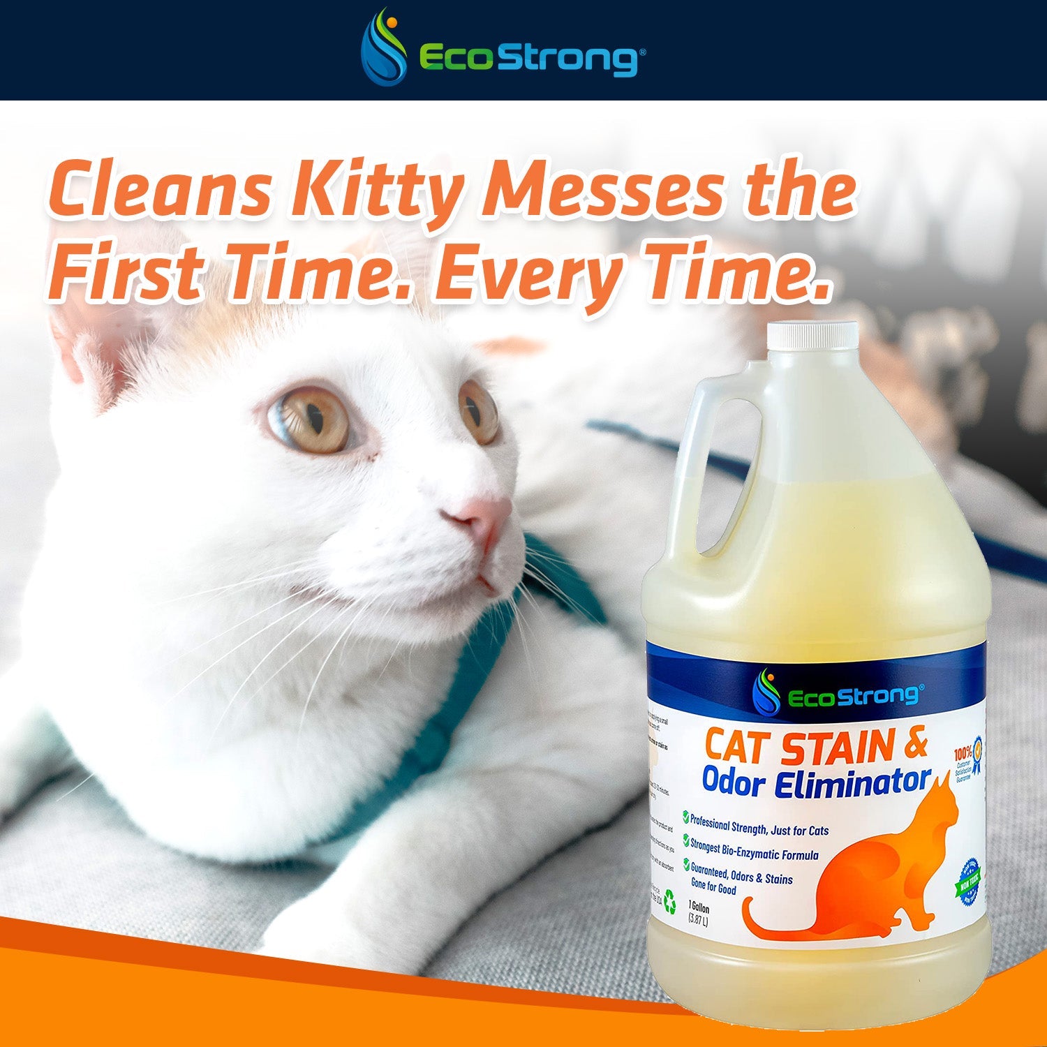 Cat Stain and Odor Eliminator