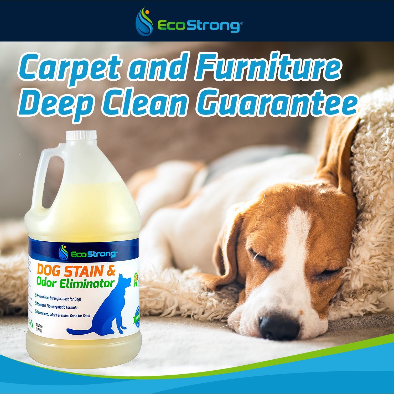 Dog Stain and Odor Eliminator