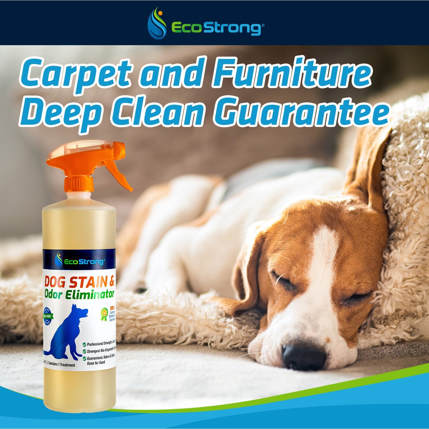 Dog Stain and Odor Eliminator