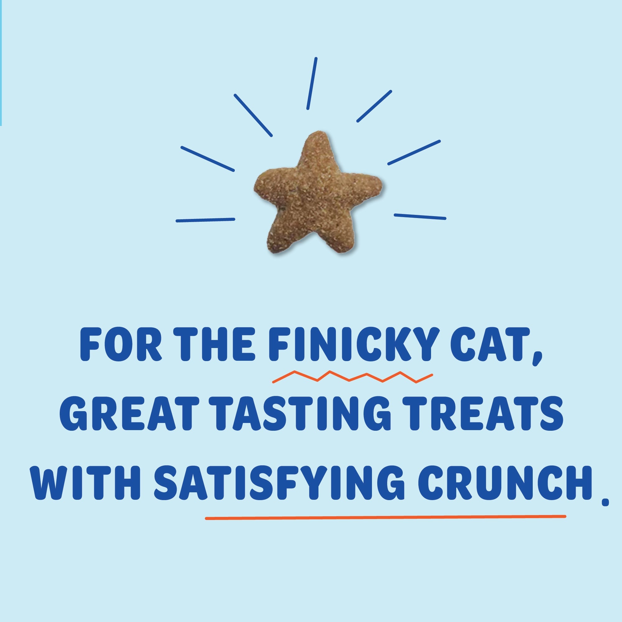 Fintastic Catnip 2-pack