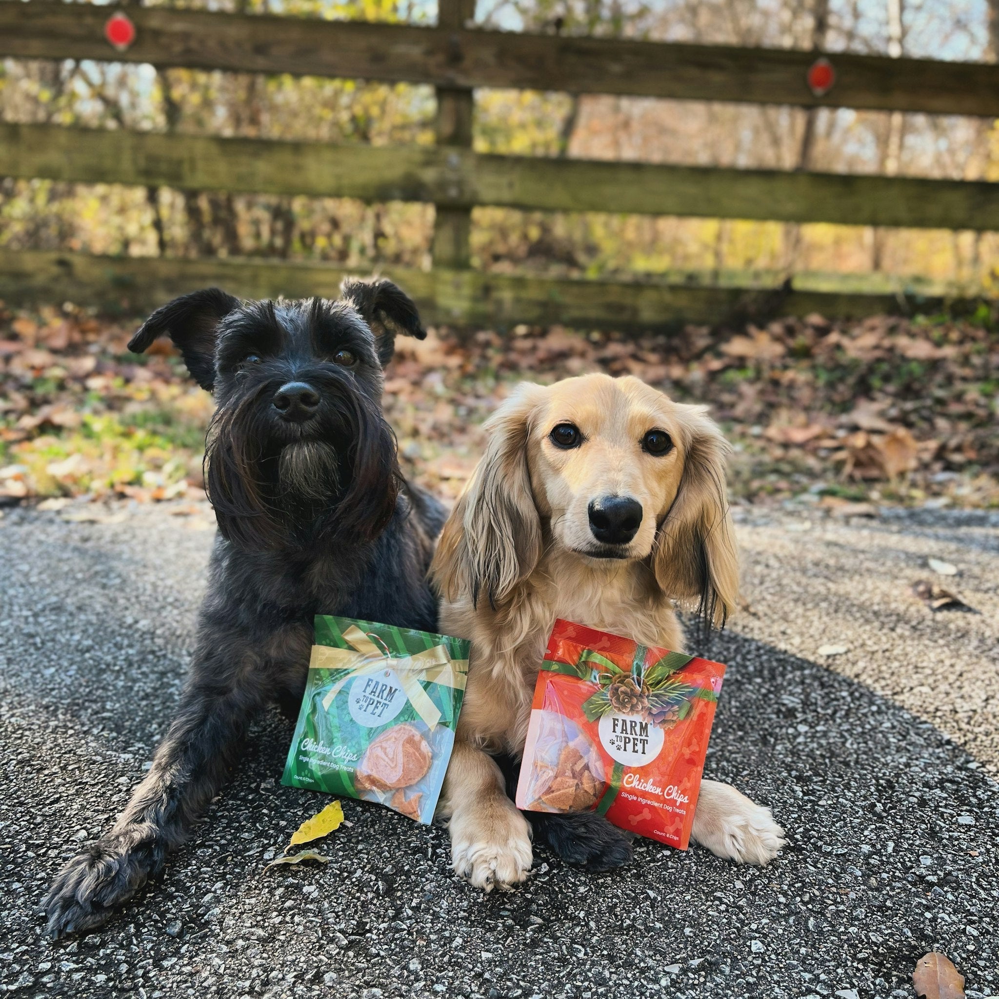 Holiday Snack Packs for Dogs