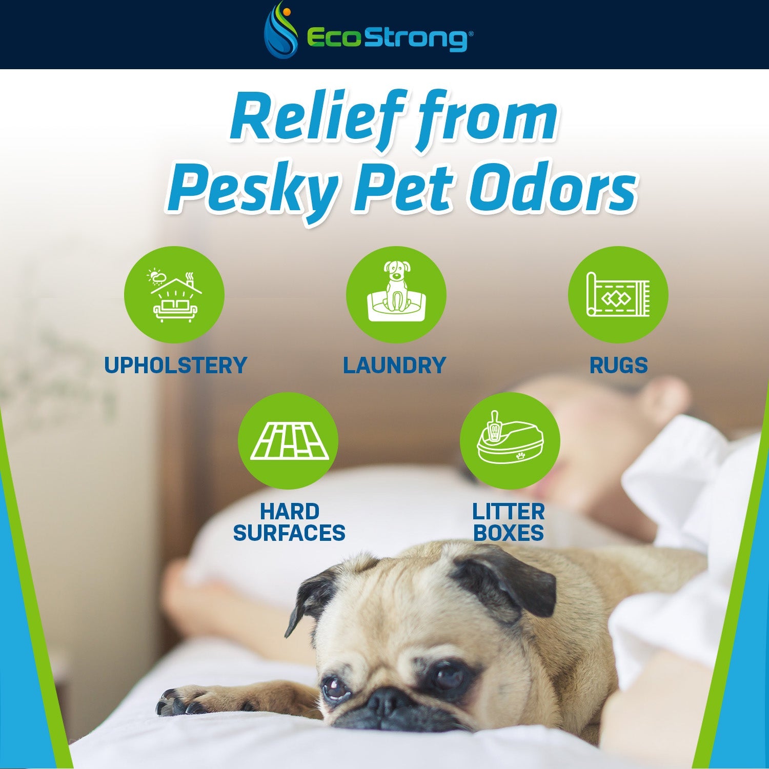 Pet Stain and Odor Eliminator